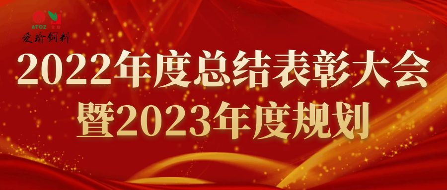 2022年度总结表彰大会暨2023年度..
